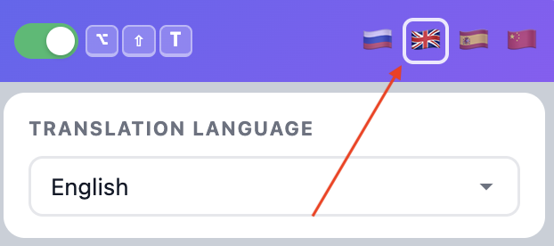 Interface language flags